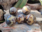 Polished Septerye Spheres x 5 From Mahajanga, Madagascar - Toprock Gemstones and Minerals 