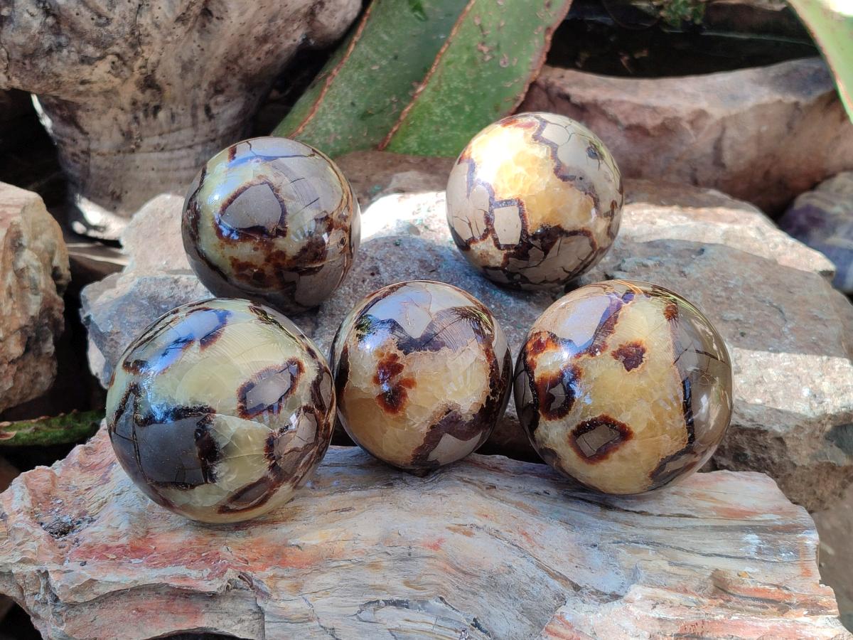 Polished Septerye Spheres x 5 From Mahajanga, Madagascar - Toprock Gemstones and Minerals 