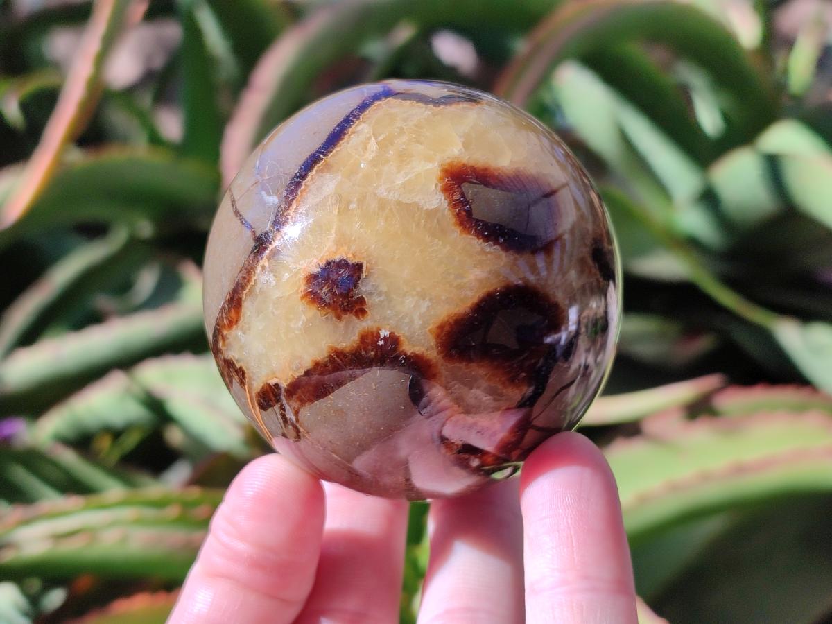 Polished Septerye Spheres x 5 From Mahajanga, Madagascar - Toprock Gemstones and Minerals 