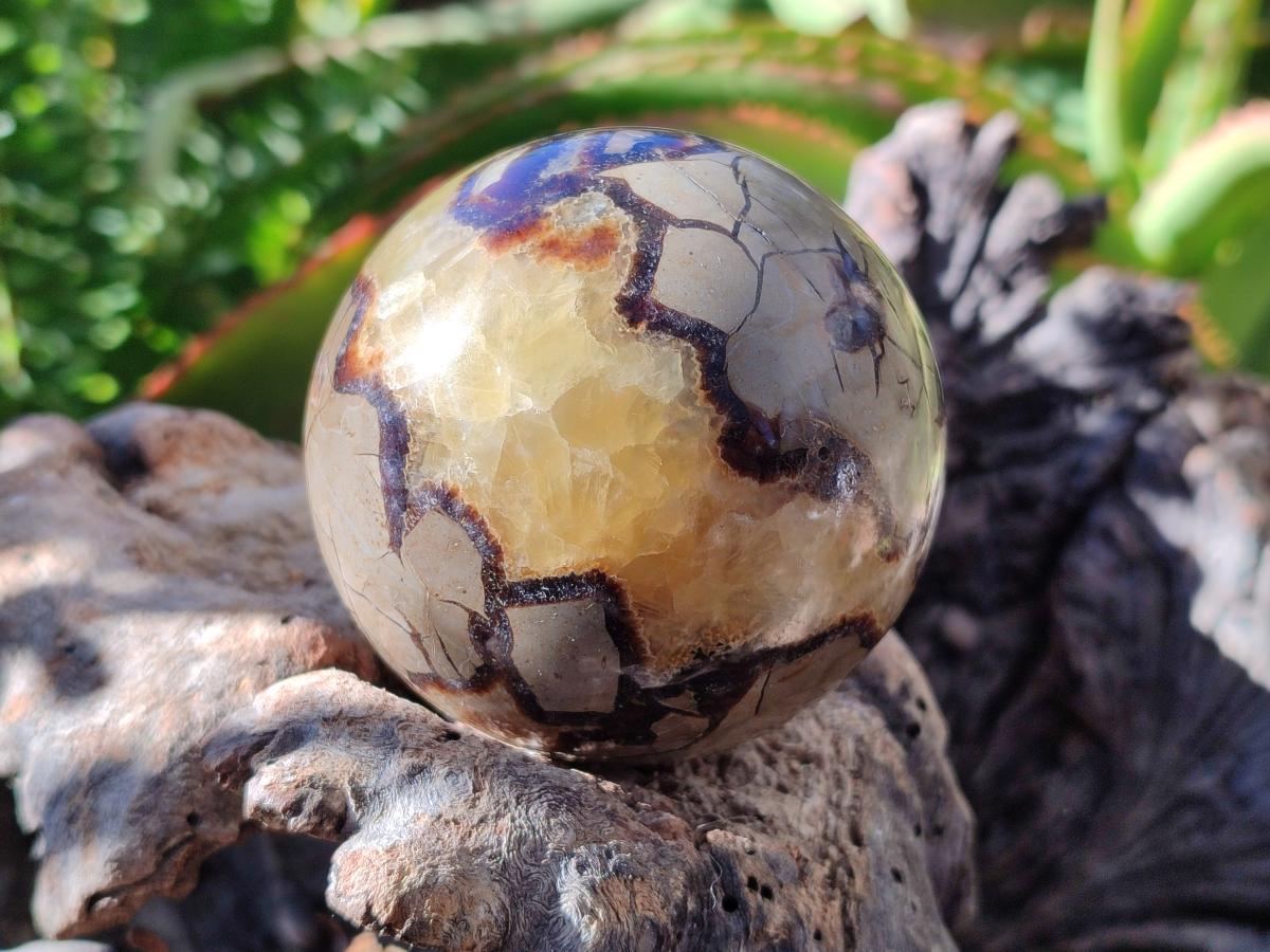 Polished Septerye Spheres x 5 From Mahajanga, Madagascar - Toprock Gemstones and Minerals 