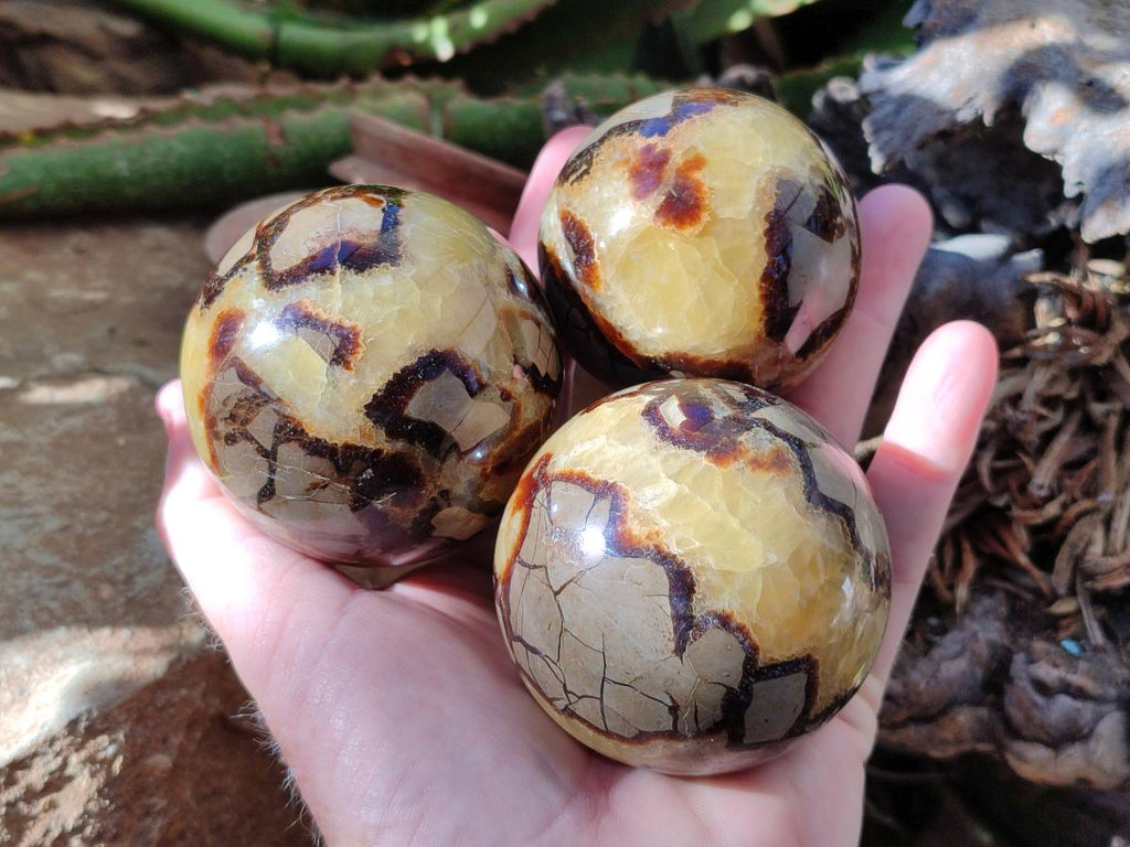 Polished Septerye Spheres x 5 From Mahajanga, Madagascar - Toprock Gemstones and Minerals 