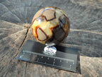 Polished Septerye Spheres x 5 From Mahajanga, Madagascar - Toprock Gemstones and Minerals 