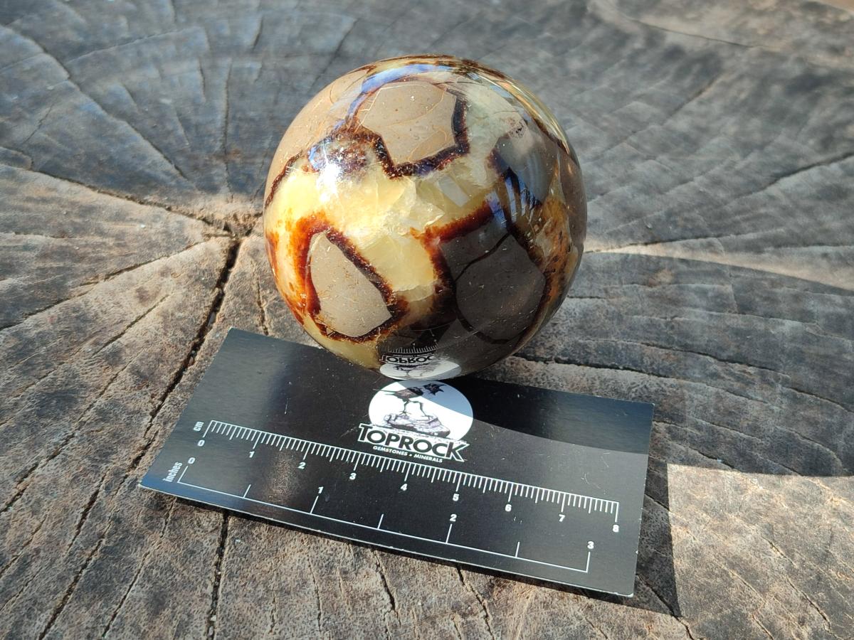 Polished Septerye Spheres x 5 From Mahajanga, Madagascar - Toprock Gemstones and Minerals 