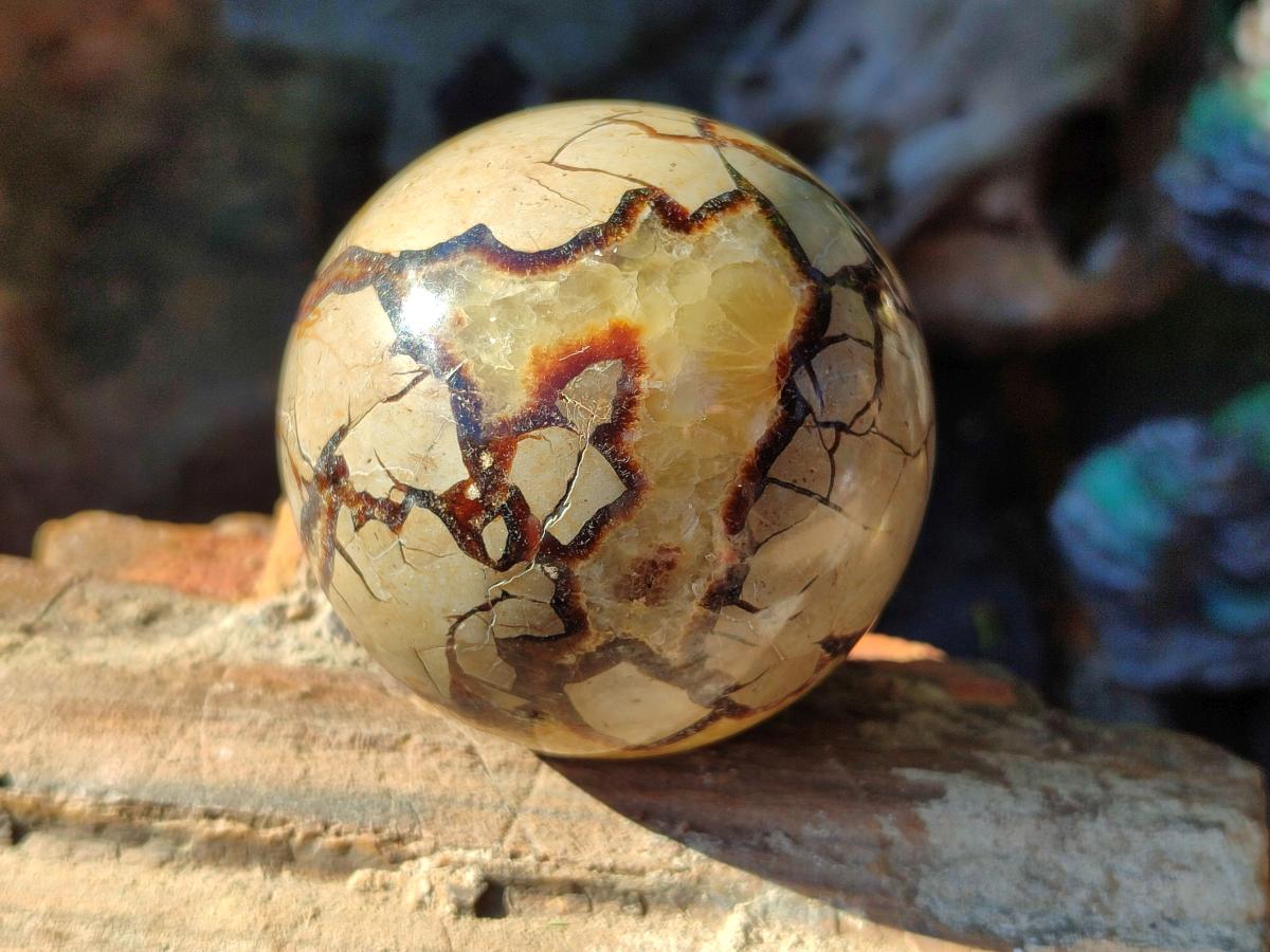 Polished Septerye Spheres x 5 From Mahajanga, Madagascar - Toprock Gemstones and Minerals 