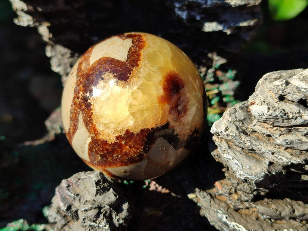 Polished Septerye Spheres x 5 From Mahajanga, Madagascar - Toprock Gemstones and Minerals 