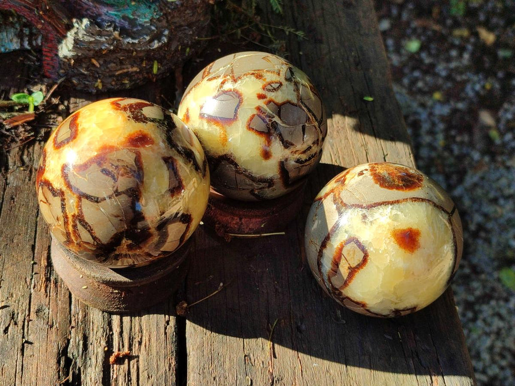 Polished Septerye Spheres x 5 From Mahajanga, Madagascar - Toprock Gemstones and Minerals 