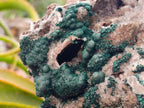 Natural Large Cabinet Sized Ball Malachite and Drusy Quartz on Red Dolomite Specimen x 1 From Mindingi Mine, Kambove, Congo - Toprock Gemstones and Minerals 