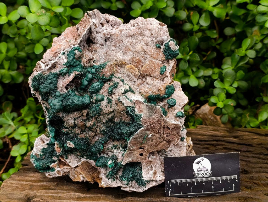 Natural Large Cabinet Sized Ball Malachite and Drusy Quartz on Red Dolomite Specimen x 1 From Mindingi Mine, Kambove, Congo - Toprock Gemstones and Minerals 