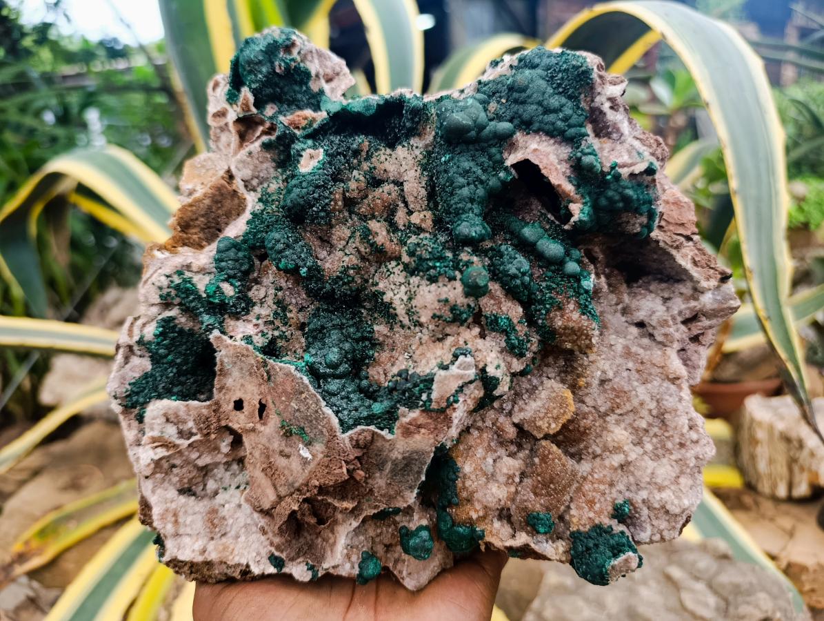 Natural Large Cabinet Sized Ball Malachite and Drusy Quartz on Red Dolomite Specimen x 1 From Mindingi Mine, Kambove, Congo - Toprock Gemstones and Minerals 