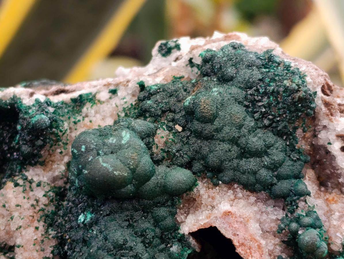 Natural Large Cabinet Sized Ball Malachite and Drusy Quartz on Red Dolomite Specimen x 1 From Mindingi Mine, Kambove, Congo - Toprock Gemstones and Minerals 