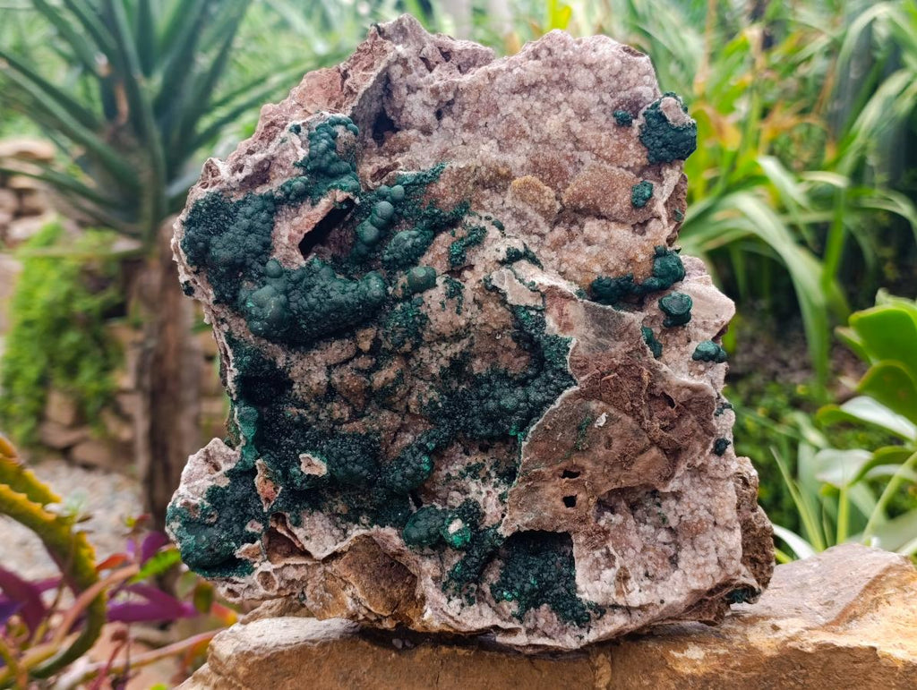 Natural Large Cabinet Sized Ball Malachite and Drusy Quartz on Red Dolomite Specimen x 1 From Mindingi Mine, Kambove, Congo - Toprock Gemstones and Minerals 