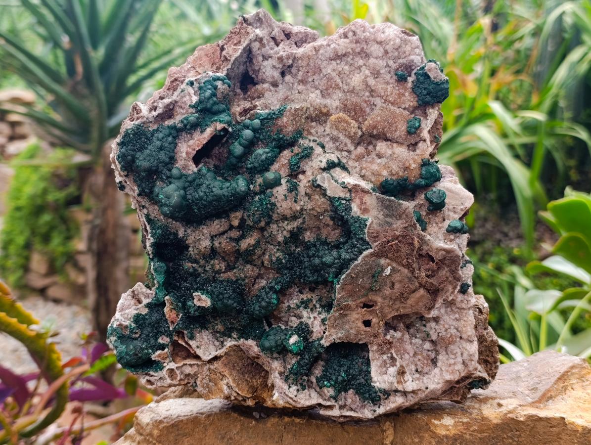 Natural Large Cabinet Sized Ball Malachite and Drusy Quartz on Red Dolomite Specimen x 1 From Mindingi Mine, Kambove, Congo - Toprock Gemstones and Minerals 