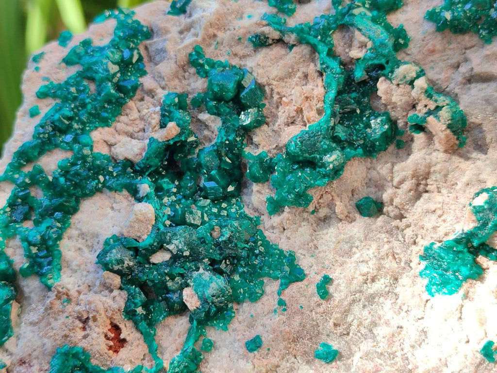 Natural XL Dioptase on Dolomite Specimen x 1 From Likasi, Congo - Toprock Gemstones and Minerals 