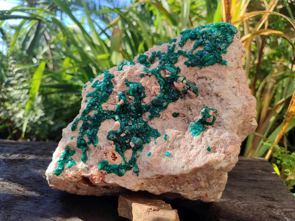 Natural XL Dioptase on Dolomite Specimen x 1 From Likasi, Congo - Toprock Gemstones and Minerals 
