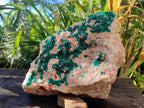 Natural XL Dioptase on Dolomite Specimen x 1 From Likasi, Congo - Toprock Gemstones and Minerals 