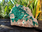 Natural XL Dioptase on Dolomite Specimen x 1 From Likasi, Congo - Toprock Gemstones and Minerals 