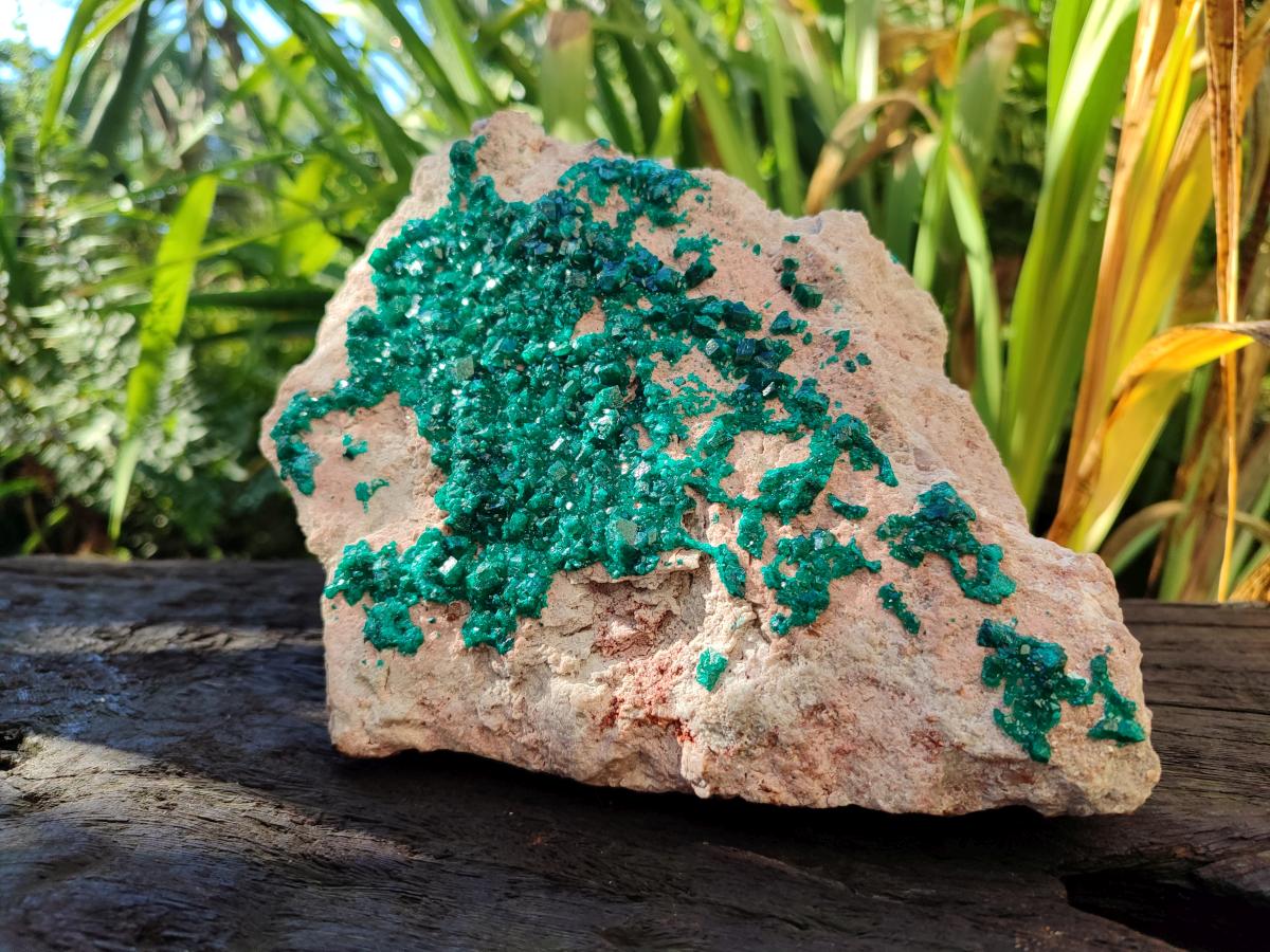 Natural XL Dioptase on Dolomite Specimen x 1 From Likasi, Congo - Toprock Gemstones and Minerals 