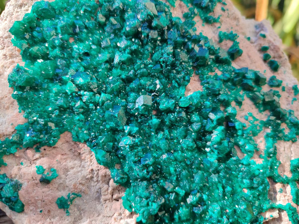 Natural XL Dioptase on Dolomite Specimen x 1 From Likasi, Congo - Toprock Gemstones and Minerals 