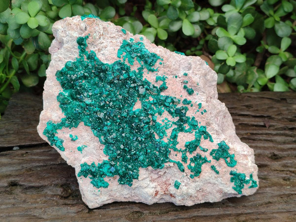 Natural XL Dioptase on Dolomite Specimen x 1 From Likasi, Congo - Toprock Gemstones and Minerals 