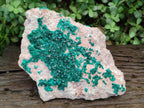 Natural XL Dioptase on Dolomite Specimen x 1 From Likasi, Congo - Toprock Gemstones and Minerals 
