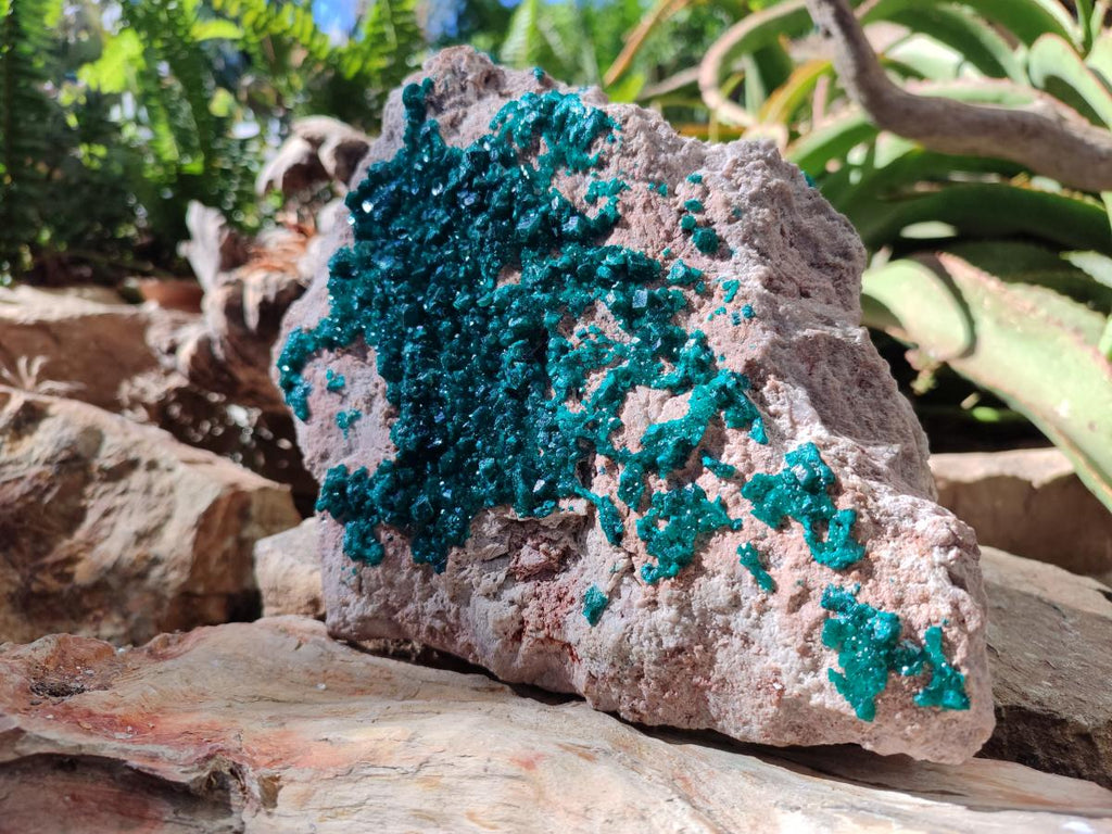 Natural XL Dioptase on Dolomite Specimen x 1 From Likasi, Congo - Toprock Gemstones and Minerals 