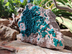 Natural XL Dioptase on Dolomite Specimen x 1 From Likasi, Congo - Toprock Gemstones and Minerals 