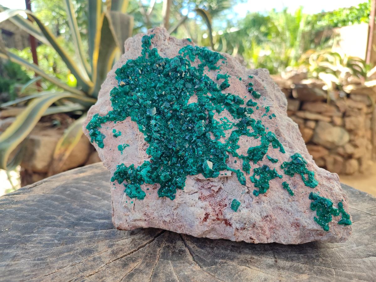 Natural XL Dioptase on Dolomite Specimen x 1 From Likasi, Congo - Toprock Gemstones and Minerals 
