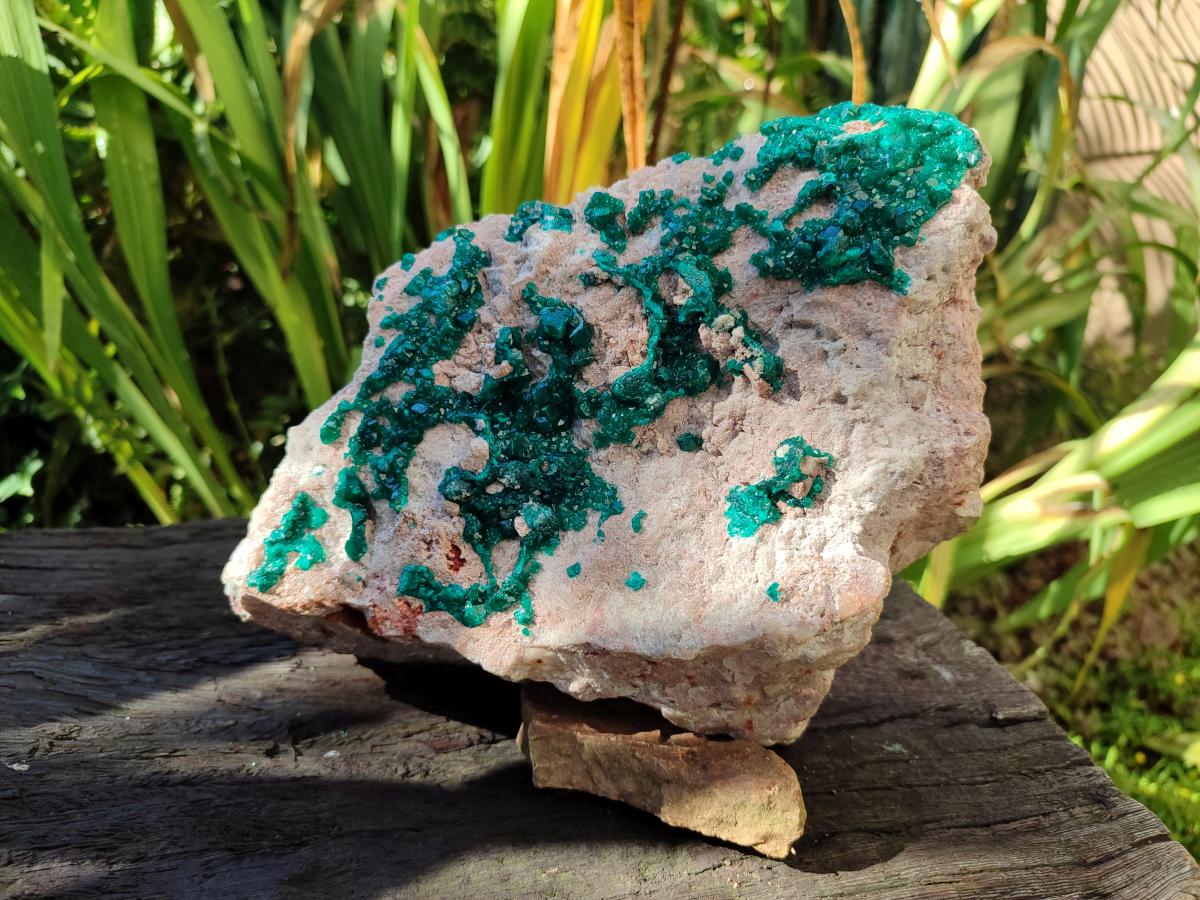 Natural XL Dioptase on Dolomite Specimen x 1 From Likasi, Congo - Toprock Gemstones and Minerals 