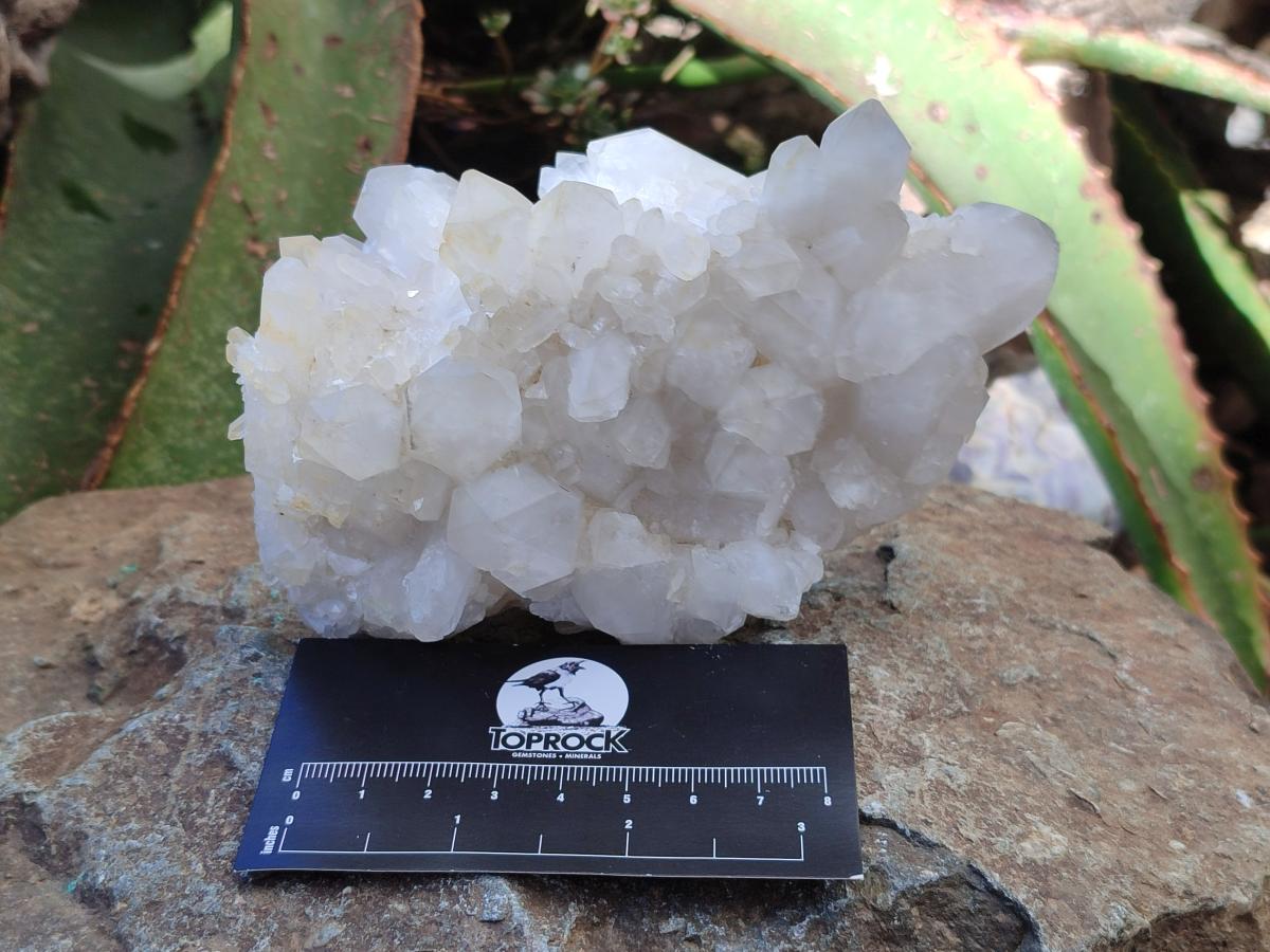 Natural Frosted Quartz Crystals and Clusters x 8 From Madagascar - Toprock Gemstones and Minerals 