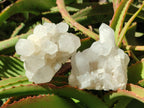 Natural Frosted Quartz Crystals and Clusters x 8 From Madagascar - Toprock Gemstones and Minerals 