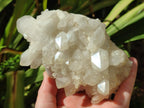 Natural Frosted Quartz Crystals and Clusters x 8 From Madagascar - Toprock Gemstones and Minerals 
