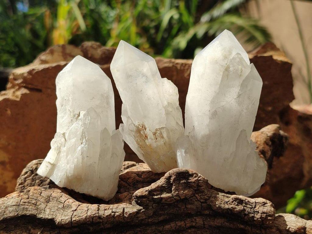 Natural Frosted Quartz Crystals and Clusters x 8 From Madagascar - Toprock Gemstones and Minerals 