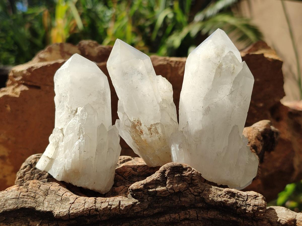 Natural Frosted Quartz Crystals and Clusters x 8 From Madagascar - Toprock Gemstones and Minerals 