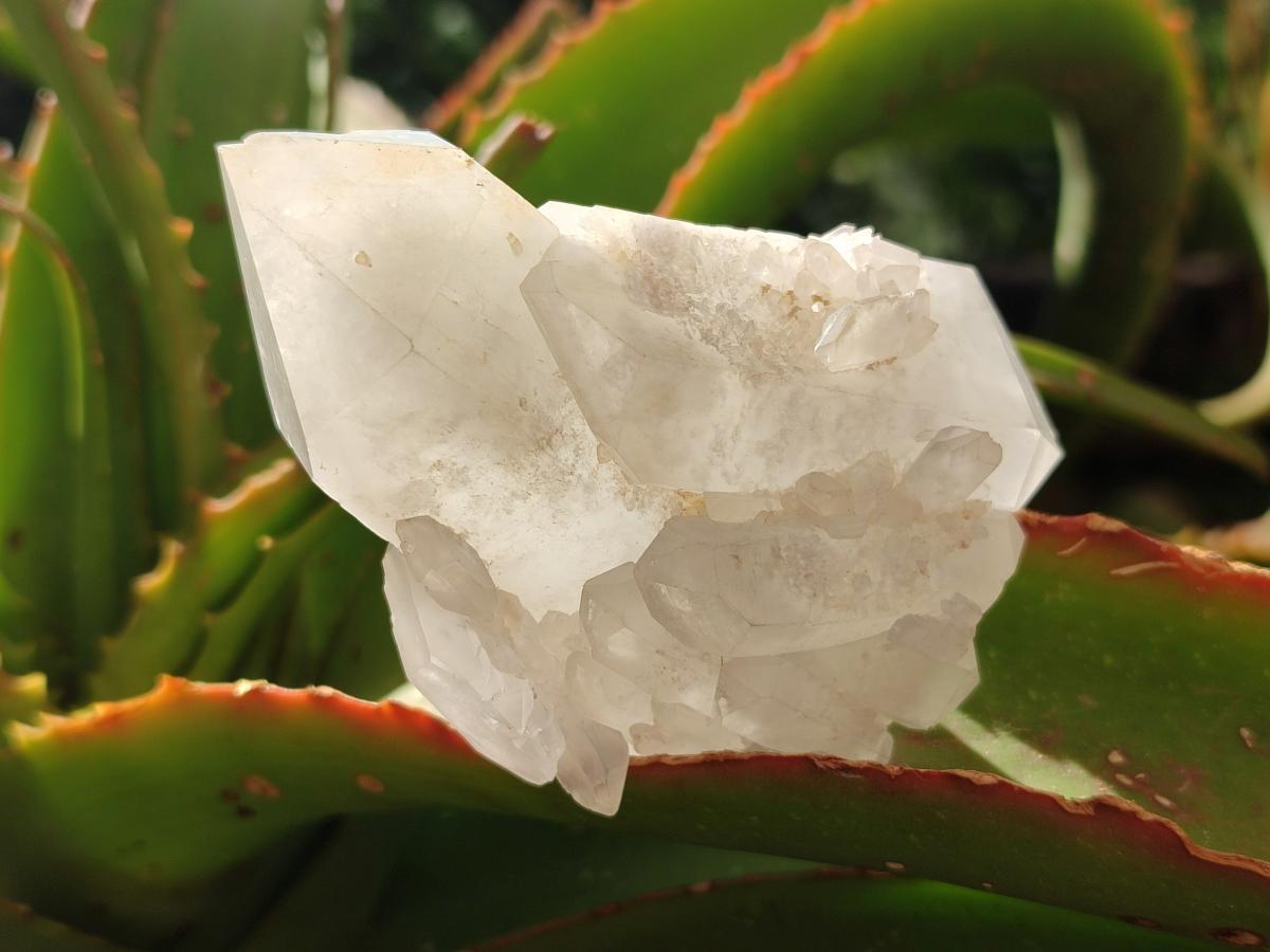 Natural Frosted Quartz Crystals and Clusters x 8 From Madagascar - Toprock Gemstones and Minerals 