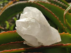 Natural Frosted Quartz Crystals and Clusters x 8 From Madagascar - Toprock Gemstones and Minerals 