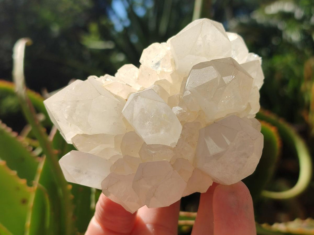 Natural Frosted Quartz Crystals and Clusters x 8 From Madagascar - Toprock Gemstones and Minerals 