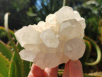 Natural Frosted Quartz Crystals and Clusters x 8 From Madagascar - Toprock Gemstones and Minerals 