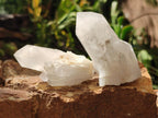 Natural Frosted Quartz Crystals and Clusters x 8 From Madagascar - Toprock Gemstones and Minerals 