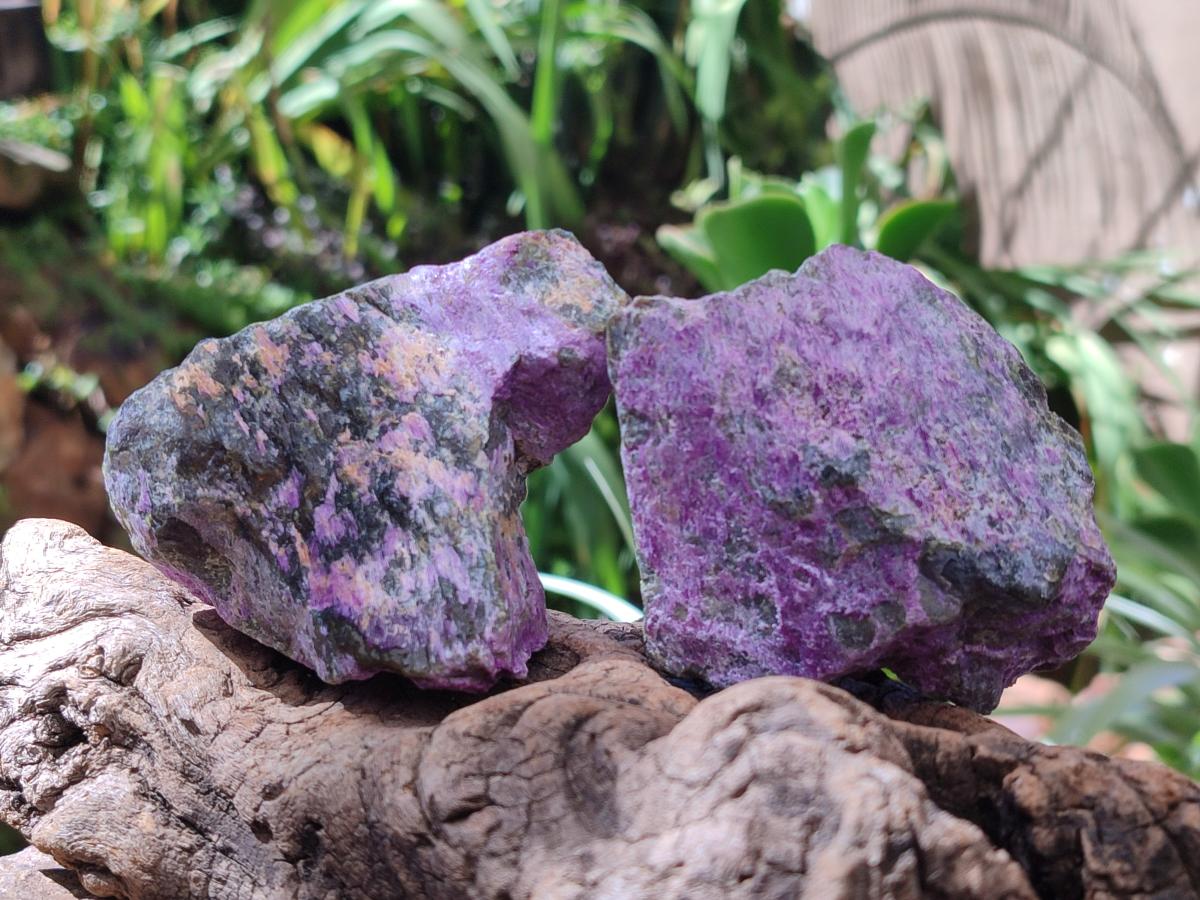 Natural Stichtite Cobbed Specimens x 13 From Barberton, South Africa - Toprock Gemstones and Minerals 