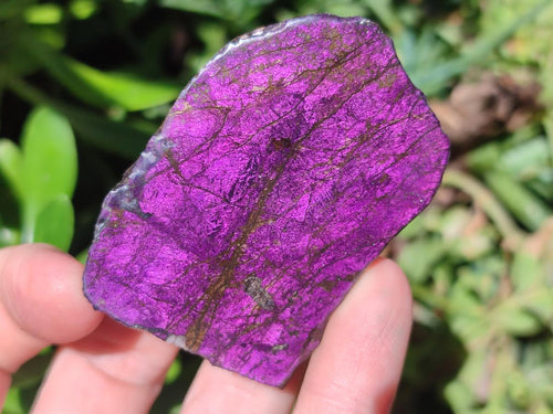 Polished On One Side Metallic Purpurite Specimens x 12 From Erongo Namibia - Toprock Gemstones and Minerals 