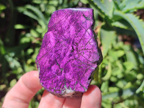 Polished On One Side Metallic Purpurite Specimens x 12 From Erongo Namibia - Toprock Gemstones and Minerals 