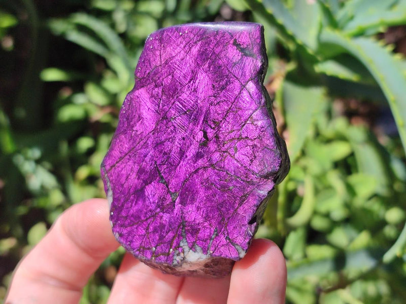 Polished On One Side Metallic Purpurite Specimens x 12 From Erongo Namibia - Toprock Gemstones and Minerals 
