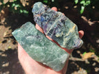 Natural Watermelon Fluorite Cobbed Specimens x 6 From Uis, Namibia - Toprock Gemstones and Minerals 