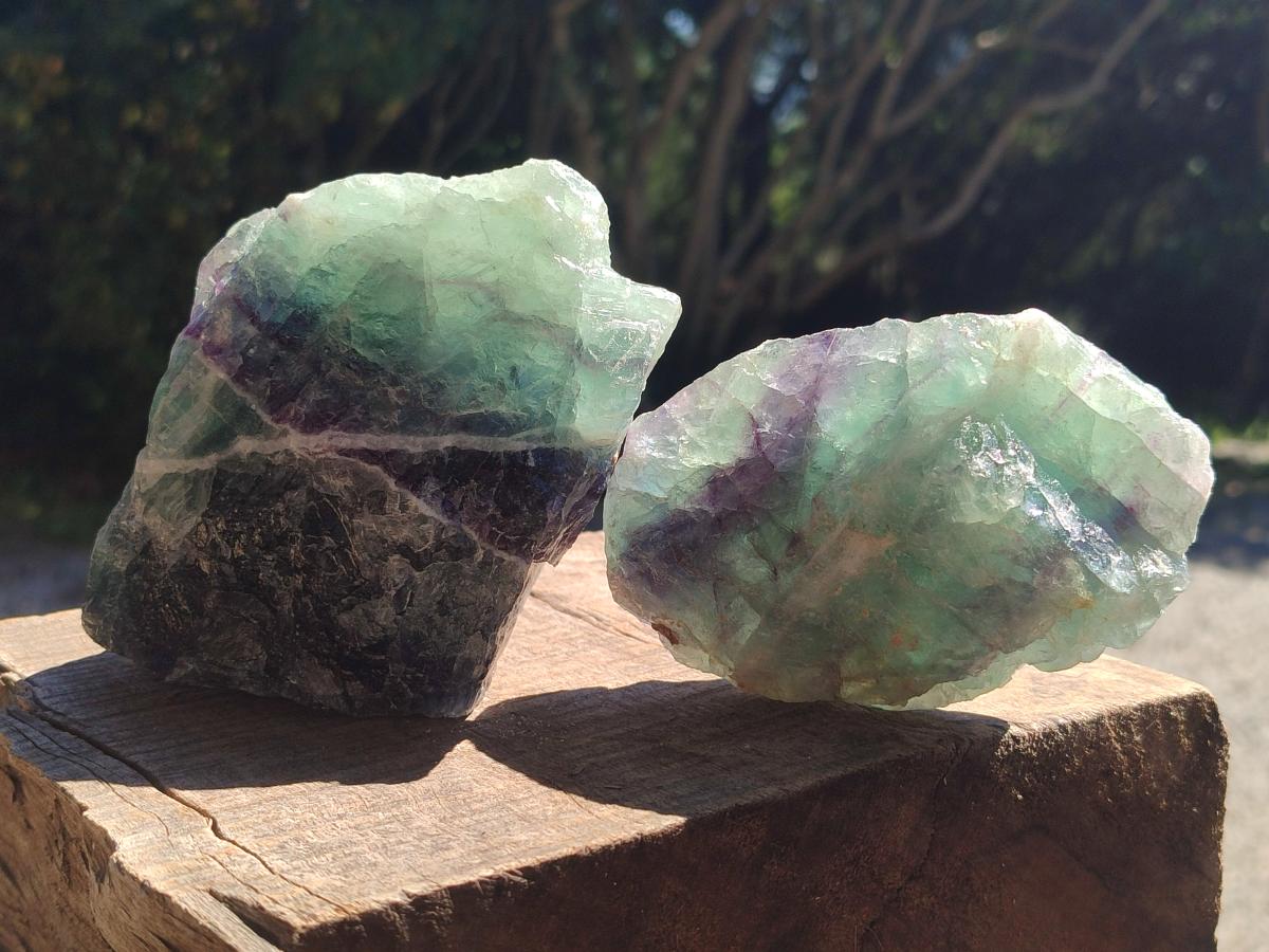 Natural Watermelon Fluorite Cobbed Specimens x 6 From Uis, Namibia - Toprock Gemstones and Minerals 