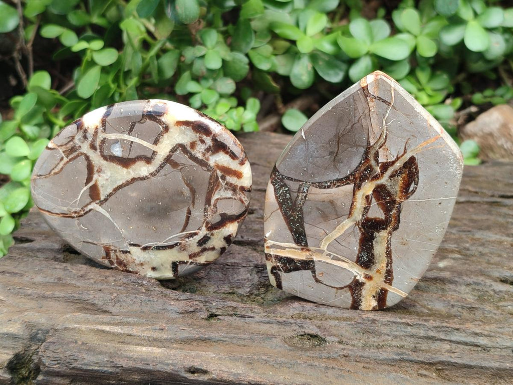 Polished Septerye Slices x 12 From Mahajanga, Madagascar - Toprock Gemstones and Minerals 