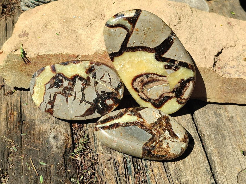Polished Septerye Slices x 12 From Mahajanga, Madagascar - Toprock Gemstones and Minerals 