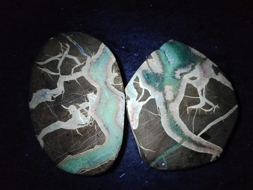 Polished Septerye Slices x 12 From Mahajanga, Madagascar - Toprock Gemstones and Minerals 