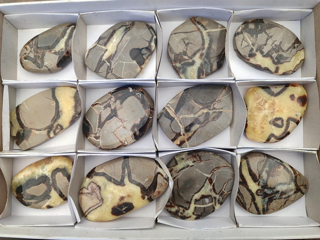 Polished Septerye Slices x 12 From Mahajanga, Madagascar - Toprock Gemstones and Minerals 