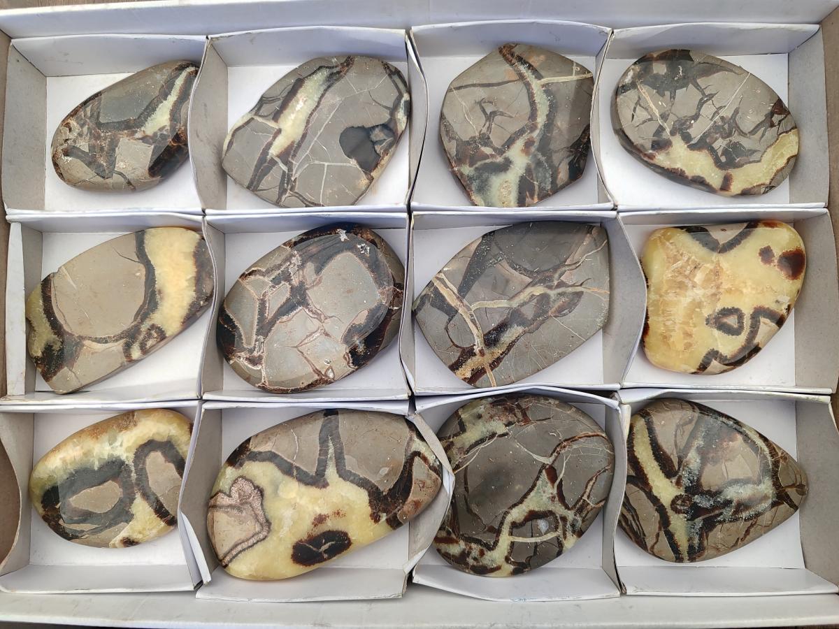 Polished Septerye Slices x 12 From Mahajanga, Madagascar - Toprock Gemstones and Minerals 