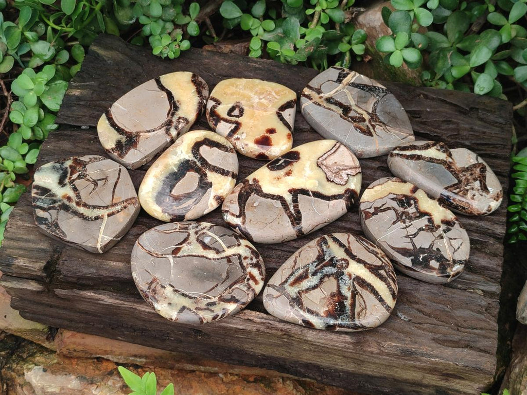 Polished Septerye Slices x 12 From Mahajanga, Madagascar - Toprock Gemstones and Minerals 